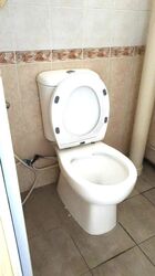 punggol-field photo thumbnail #7